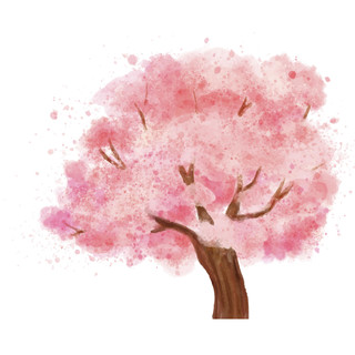粉色日本樱花树花朵花瓣花卉春天png元素